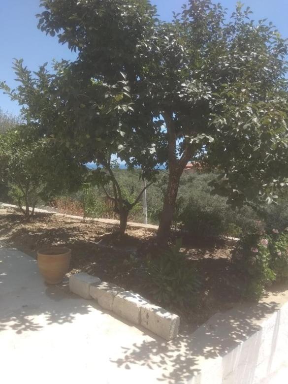 Vogklis House Hotel Qeparo Bagian luar foto