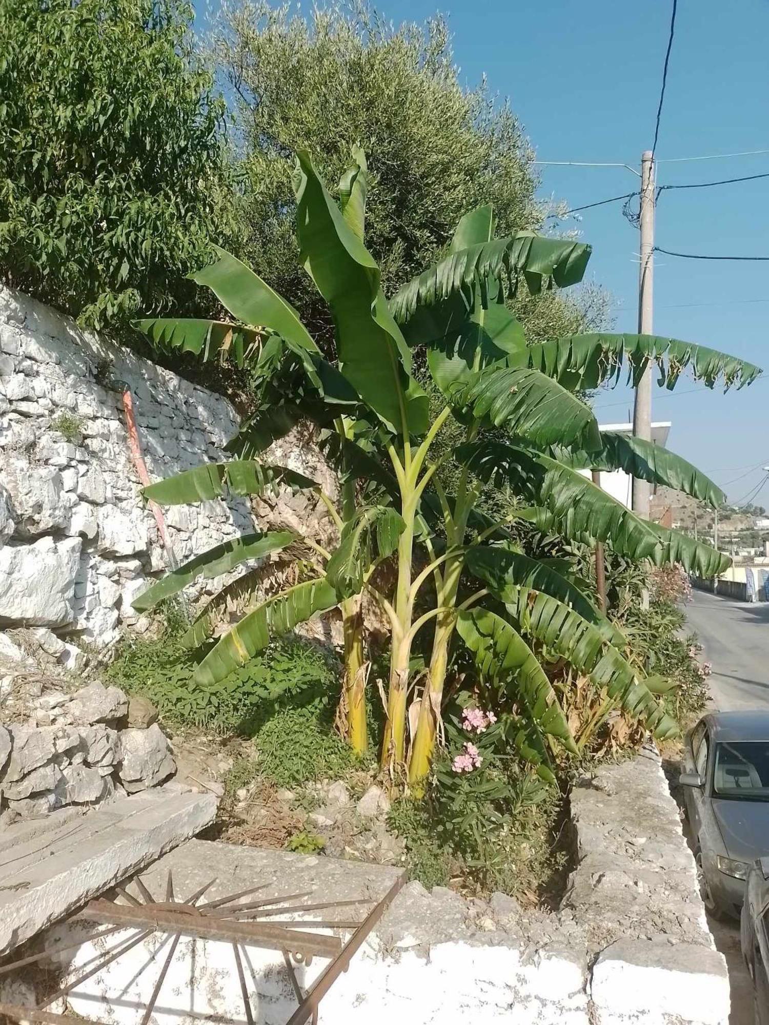 Vogklis House Hotel Qeparo Bagian luar foto